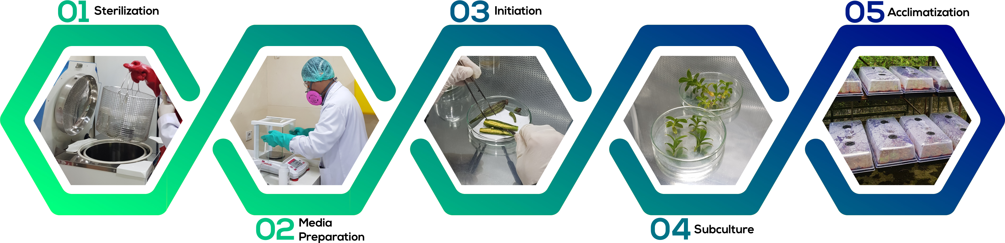 Growth Monitoring